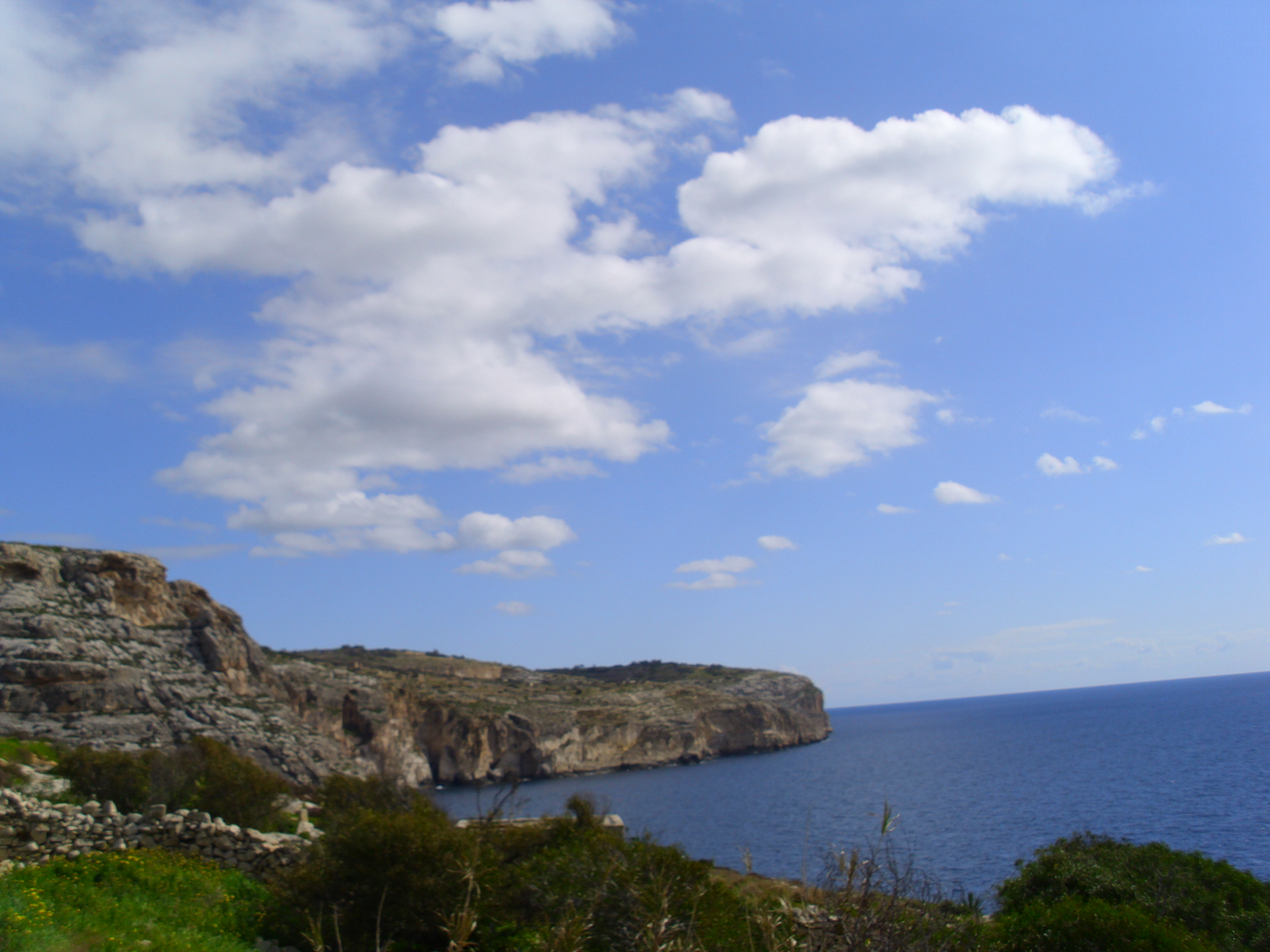 Image description of picture_1